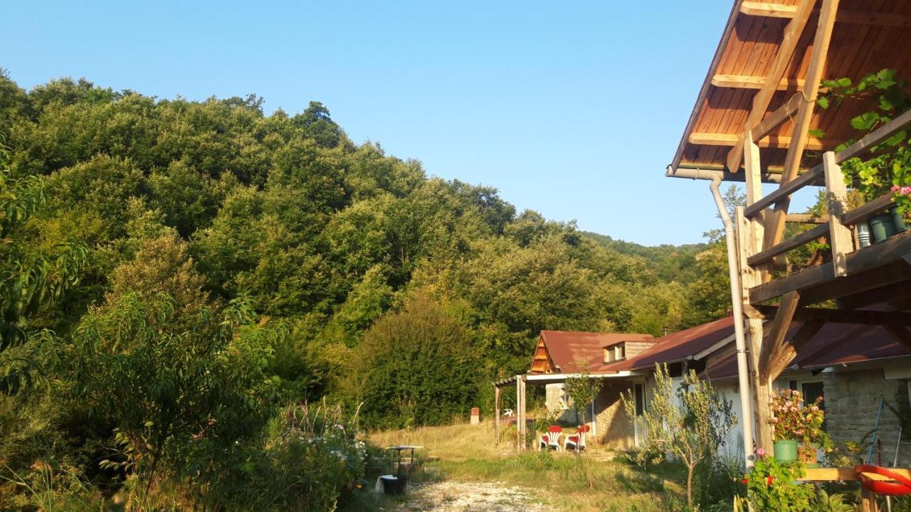 Ferma Albanik Hotel Kelcyre Екстериор снимка